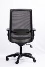 NX ELITE Mesh Chair - Black Nylon Base, rear view
