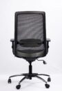 NX ELITE Mesh Chair - Chrome Base, rear view