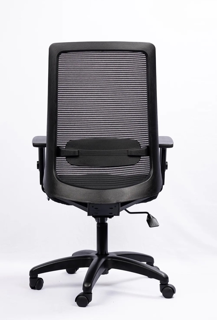 NX ELITE Mesh Chair - Black Nylon Base, rear view