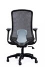 NX ERO mesh chair with black nylon base, rear view